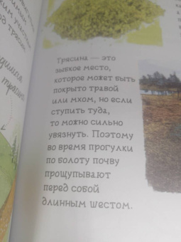 Барановская, Вайткене: Анатомия океана