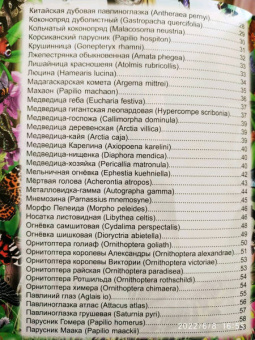 Людмила Соколова: Энциклопедия. Бабочки