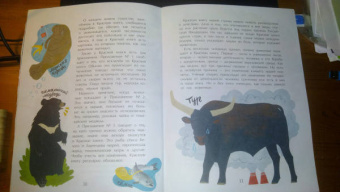 Илья Кочергин: Что такое Красная книга