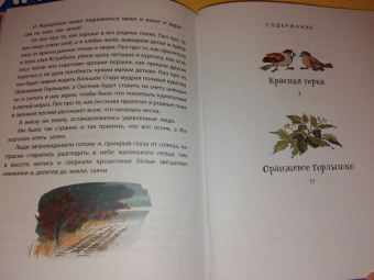 Виталий Бианки: Оранжевое Горлышко