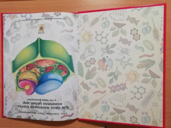 Ольга Соколова: Как одна маленькая клетка изменила целый мир!