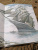 Джек Лондон: Любовь к жизни