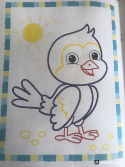 Первые птички. Книжка-раскраска