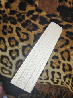 Гарсиа Саэнс де Уртури Эва: Жало белого города