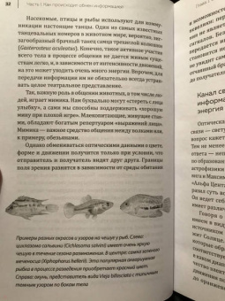 Мадлен Циге: В лесу никто не молчит. Как животные и растения общаются друг с другом