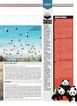 Журнал "Наука в фокусе" №9 (001). Сентябрь 2011