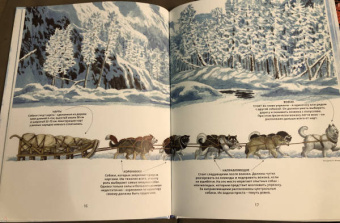 Савва Сафонов: Ездовые собаки. Великий транспорт Севера
