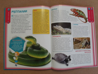 Детская энциклопедия для почемучек от 6 до 12 лет