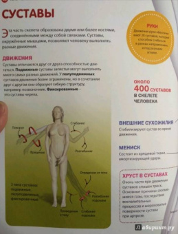 Как устроен человек. Энциклопедия для детей