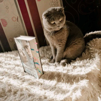 Мария Свешникова: Пара Ноя