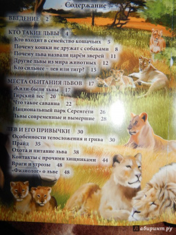 Владислав Щербак: Хочу знать. Львы