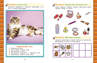 Лидия Васильева: Развитие интеллекта. Авторский курс для детей 6-7 лет