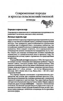 Эдуард Бондарев: Птицеводство для начинающих. Куры, индейки, перепела