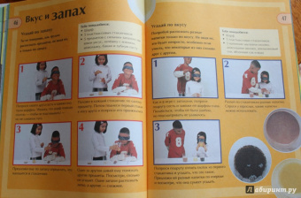 Юный эрудит. Современная энциклопедия окружающего мира