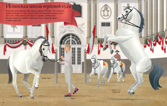 Джонатан Мелмот: Конный спорт