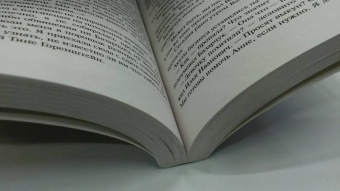 Марина Серова: Месть Лисьей долины