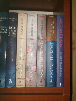 Джоди Пиколт: Книга двух путей