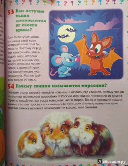 Тамара Скиба: Животный мир. Энциклопедия маленького почемучки