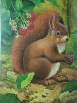 Хольгер Хааг: Лесные животные в натуральную величину