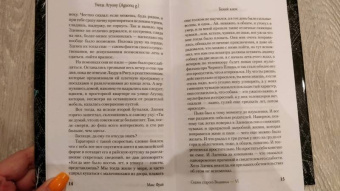 Макс Фрай: Сказки старого Вильнюса VI