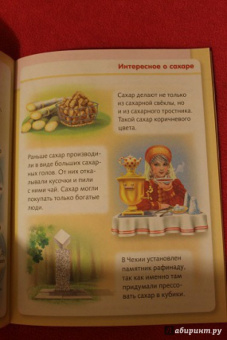 Марина Султанова: Удивительные превращения. Как производят продукты питания
