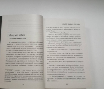 Гарсиа Саэнс де Уртури Эва: Жало белого города