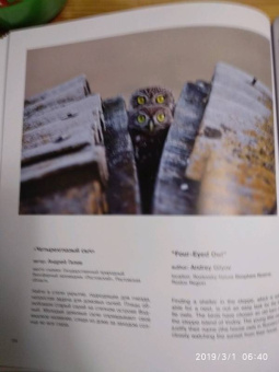 Россия - самая красивая страна. Фотоконкурс 2018