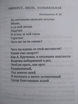 Полина Барскова: Солнечное утро на площади