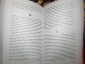 Паскаль Энгман: Огненная земля