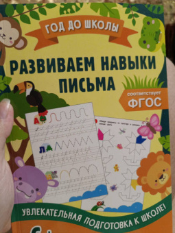 Анна Горохова: Развиваем навыки письма. ФГОС