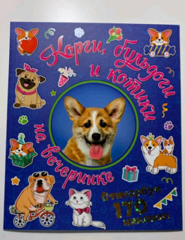 Корги, бульдоги и котики на вечеринке