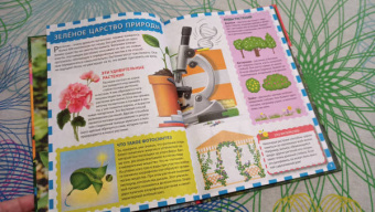 Растительный мир России. Популярная детская энциклопедия