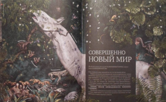 Катажина Баерович: История жизни на Земле