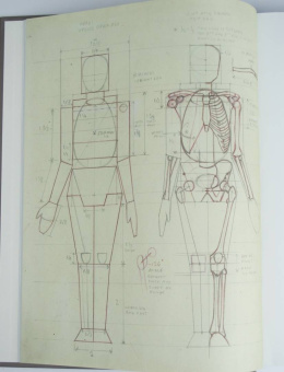 Роберто Ости: Основы анатомии человека. Наглядное руководство для художников