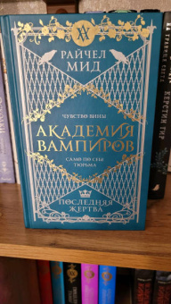 Райчел Мид: Академия вампиров. Книга 6. Последняя жертва