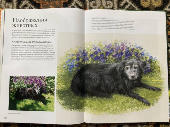 Джереми Форд: Гуашь. Легкость и свобода в создании впечатляющих картин