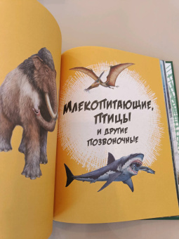 Гибберт, Фаркас: Эра динозавров. Жизнь в доисторические времена