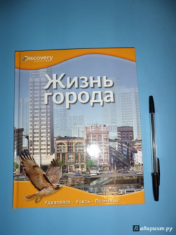 Жизнь города