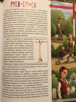 Квантик. Альманах для любознательных. Выпуск 12