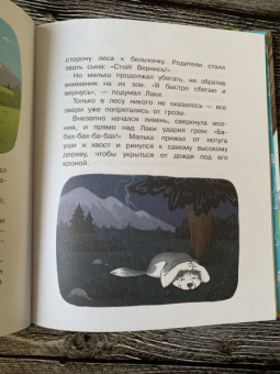 Вероника Медведева: Держи ушки на макушке. Безопасность с малышом Лаки