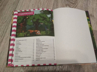 Джунгли. Животные и птицы