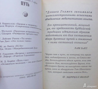 Дэниел Голмен: Многообразие медитативного опыта. Саттипадхана. Опыт внимательности