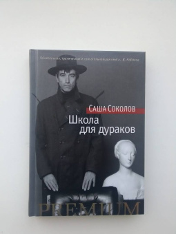 Саша Соколов: Школа для дураков
