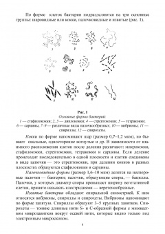 Галиуллин, Госманов, Гумеров: Микробиология, санитария и гигиена. Учебное пособие для СПО