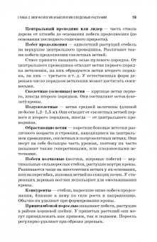 Кривко, Агафонов, Чулков: Плодоводство. Учебное пособие