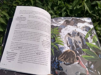 Несс Найт: На вершине мира. 30 вдохновляющих историй об отважных путешественниках