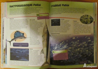Большая книга животного мира