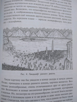 Владимир Цимбал: Растения. Параллельный мир
