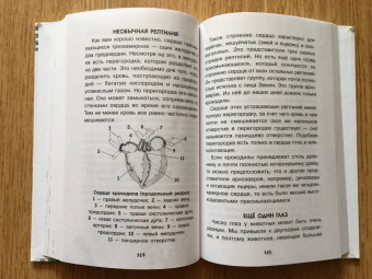 Алексей Пахневич: Увлекательная анатомия