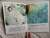 Татьяна Бреслава: Пусть планета улыбается!